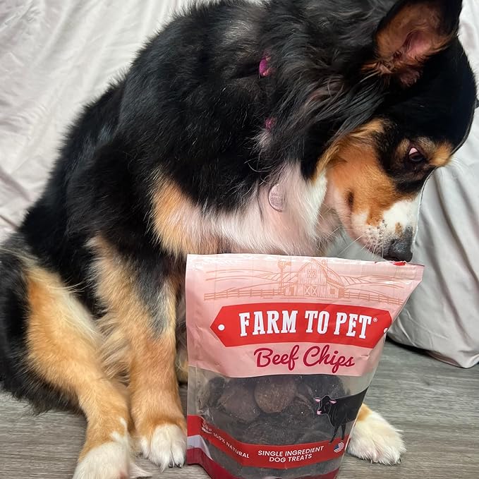 Farm To Pet - Dog Training Treats - 12 oz Beef Chips, Single Ingredient, Lean, All Natural, Healthy Dog Treats for Small, Medium, Large Breeds, & Puppies, Made in USA