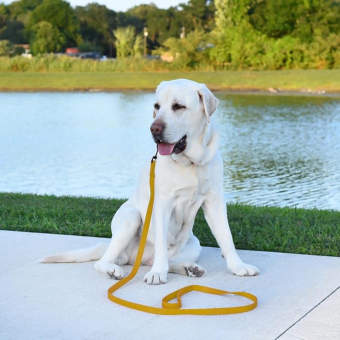 Dogline Biothane Waterproof Dog Leash Strong Coated Nylon Webbing with Black Hardware Odor-Proof Easy to Clean High Performance for Small or Large Dogs Made in USA 4 or 6 ft Lead, Treasure Gold