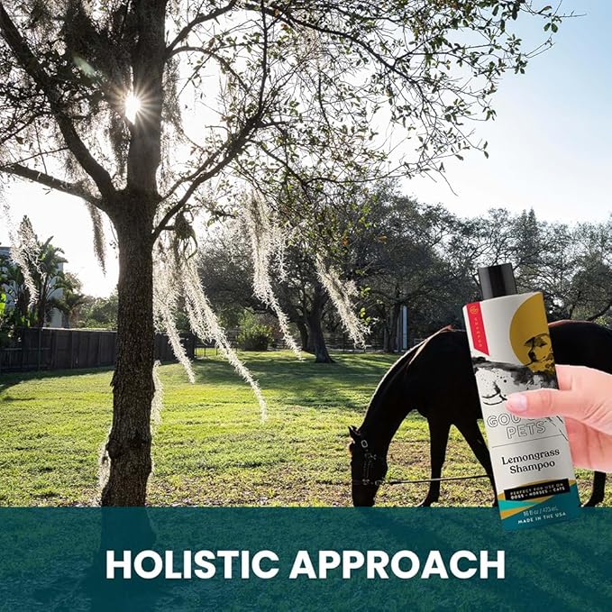 Holistic, Natural and Clean Pet Care Lemongrass Shampoo: Veterinarian Recommended - Hydrate Your Pet’s Coat With Our Hypoallergenic Shampoo For Dogs, Cats and Horses - Made in USA - 16 oz