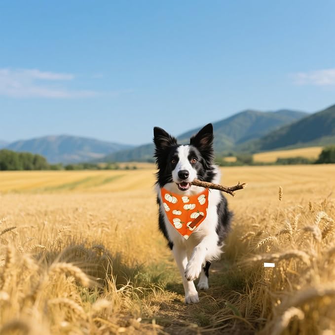 Realeaf Thanksgiving Fall Dog Bandanas 2 Pack, Orange Plaid Pumpkin Pet Scarf for Boy and Girl, Premium Durable Fabric, Holiday Halloween Bandana for Small and Medium Dogs (Fall, Small)