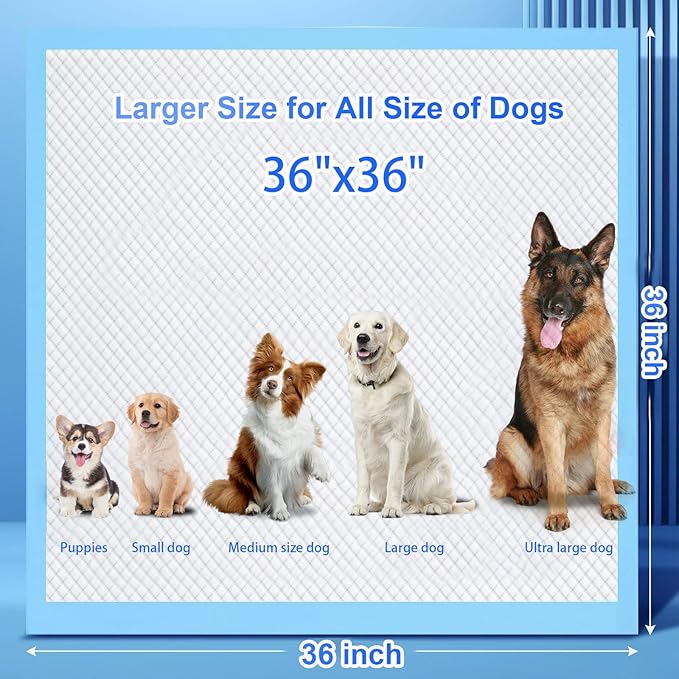 XXXL Puppy Pee Pads for Dogs 36"x36" 40 Count, Extra Large Dog Pee Pads, Leak-Proof & Super Absorbent Dog Pee Pads, Thicken Disposable Potty Pads Puppy Training Pads for Cats Rabbits