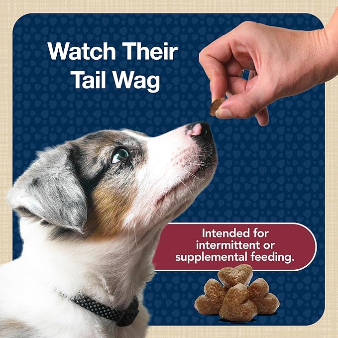 Blue Buffalo Bits Soft Dog Treats for Training, Made with Natural Ingredients & Enhanced with DHA, Beef Recipe, 4-oz Bag