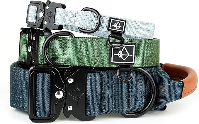 Made to ROAM Premium Dog Collar - Adjustable Heavy Duty Nylon Collar with Quick-Release Metal Buckle (California Horizon, Classic Size 1)