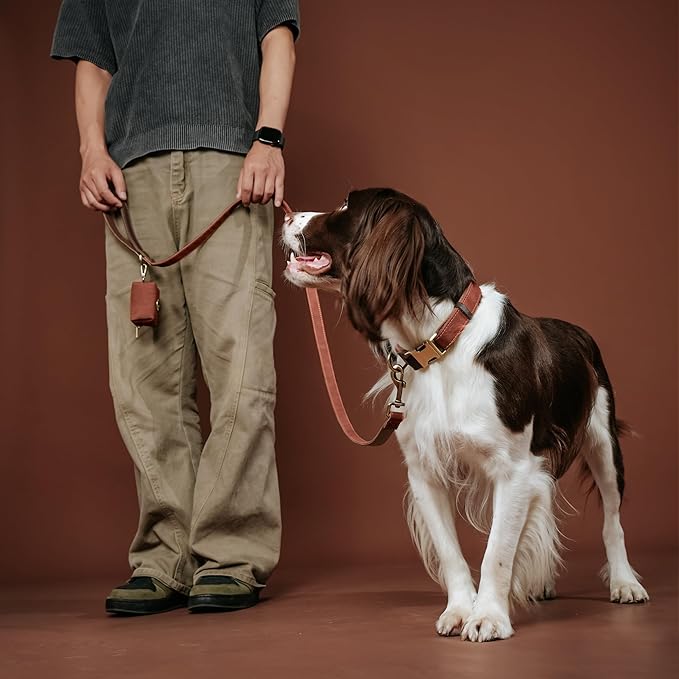 Didog PU Leather Dog Leash for Small Dogs 4.5ft, Soft Padded Handle Dog Leashes for Medium Size, Walking and Training Leashes Faux Leather for Large Pet,Brown