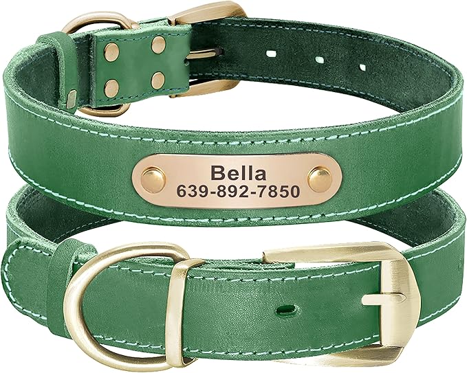 Didog Genuine Leather Dog Collars with Engraved Nameplate, Personalized Soft Leather Dog Collar with Custom ID Tag, Brown/Green/Red for Small Dogs (M,Green)