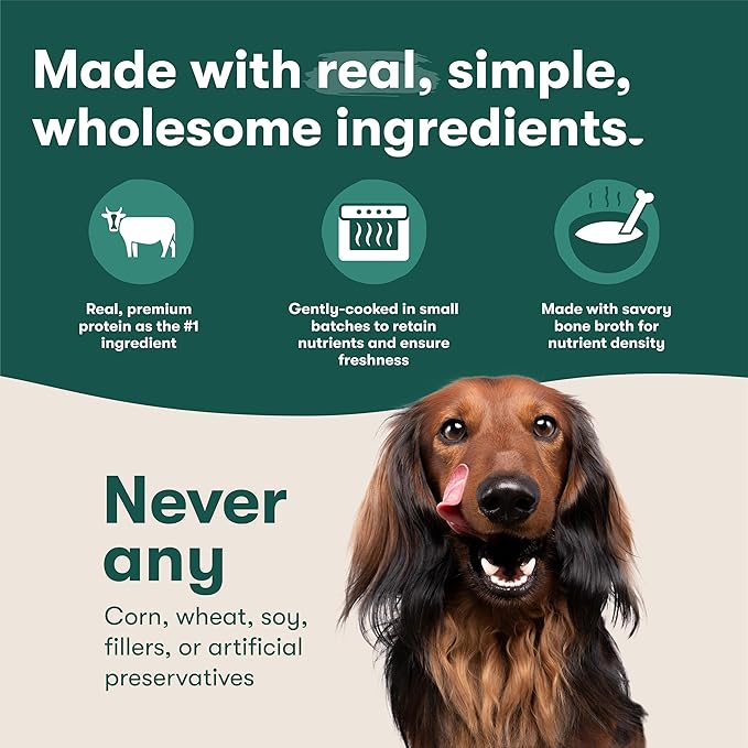 Jinx Salmon Grain Free Wet Dog Food Toppers, Meal or Mix with Dry Dog Food, Made with Real Salmon & Chicken, Bone Broth, No Fillers, Puppy, Adult, Senior, 3oz, 8 Pack