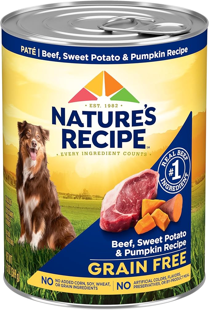 Nature’s Recipe Grain Free Wet Dog Food Beef, Sweet Potato, and Pumpkin Recipe, 13 oz. Can (Pack of 12)