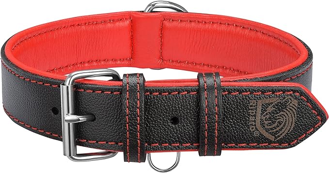 Riparo Genuine Leather Padded Dog Heavy Duty K-9 Adjustable Collar (S: 0.75” Wide for 10”-13.5” Neck, Black/Red Thread)