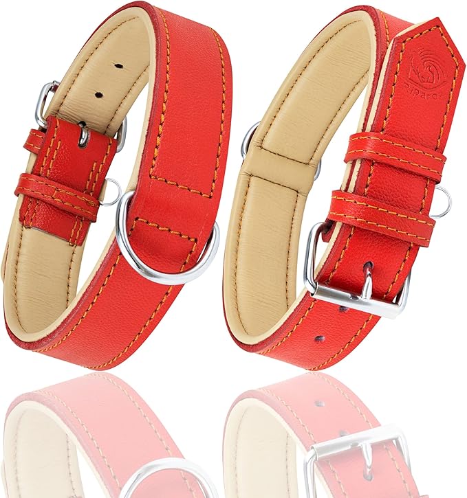 Riparo Red Dog Collar, Dog Collars for Medium Dogs, Leather Dog Collar for Medium Dogs (M: 1" Wide for 13.5”-17.5” Neck, Red)