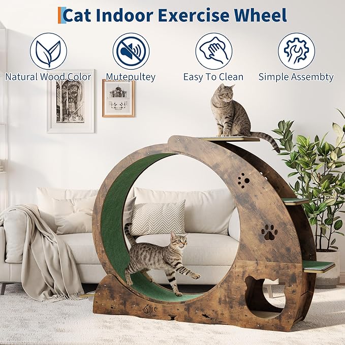 4-in-1 Cat Wheels for Indoor Cats, 40 Inch Large Cat Exercise Wheel, Running Treadmill Wheel with Carpeted Runway, Scratcher