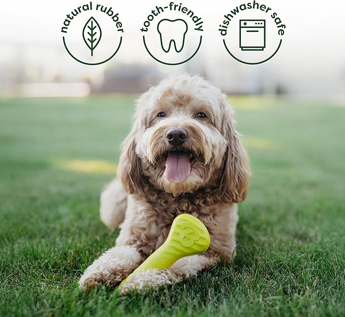 Benebone 4-Pack Ball/Bone/Bacon Wishbone/Fishbone Medium