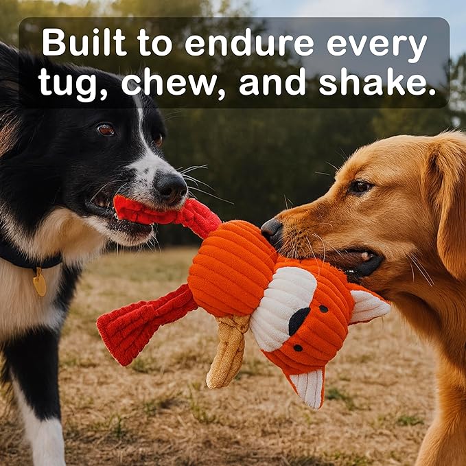 Jalousie Plush Toys Assortment Value Bundle Puppy Pet Mutt Squeak Toy for Medium Large Dogs (5 Pack Knotted)