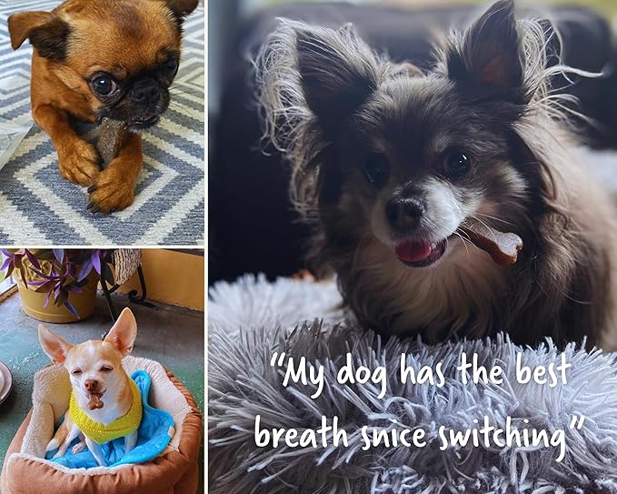 Earthbones Dental for Tiny Dogs, 90ct (3pk)