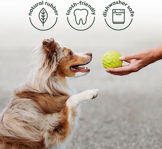 Benebone 4-Pack Ball/Bone/Bacon Wishbone/Fishbone Medium