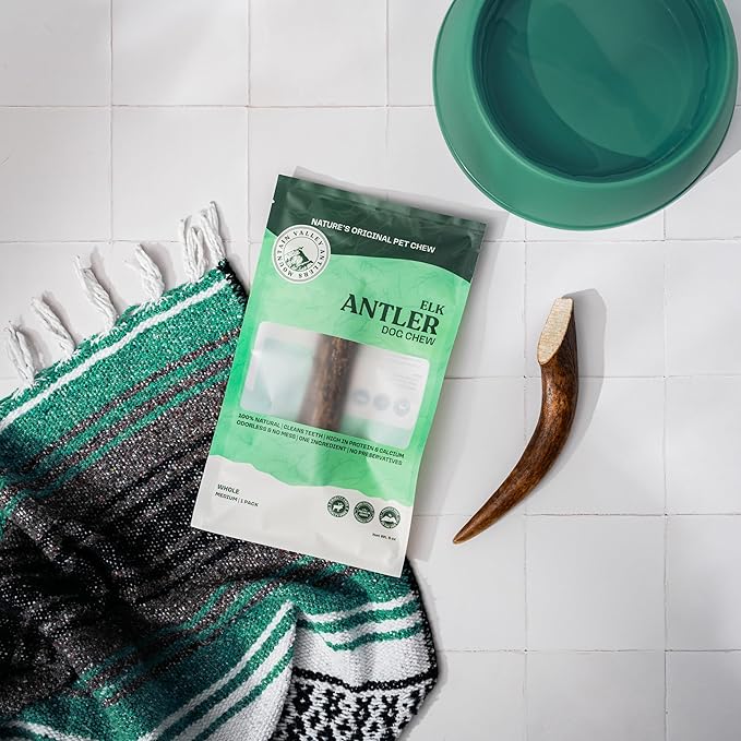 Mountain Valley Elk Antlers for Dogs - 100% Natural & Organic Chew for Aggressive Chewers, No Odor, No Mess, Long Lasting - Wild-Foraged Naturally Shed Antlers in USA - Grade A, Whole Medium (1 Pack)