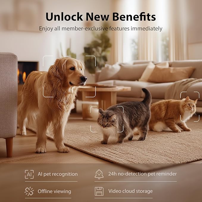 IMIPAW Automatic Cat Feeder with Camera, 1080P HD AI Pet Recognition Recording, 5G WiFi APP Remote Control, Timed Programmable Food Dispenser, Two-Way Audio, with Night Vision Function and Desiccant