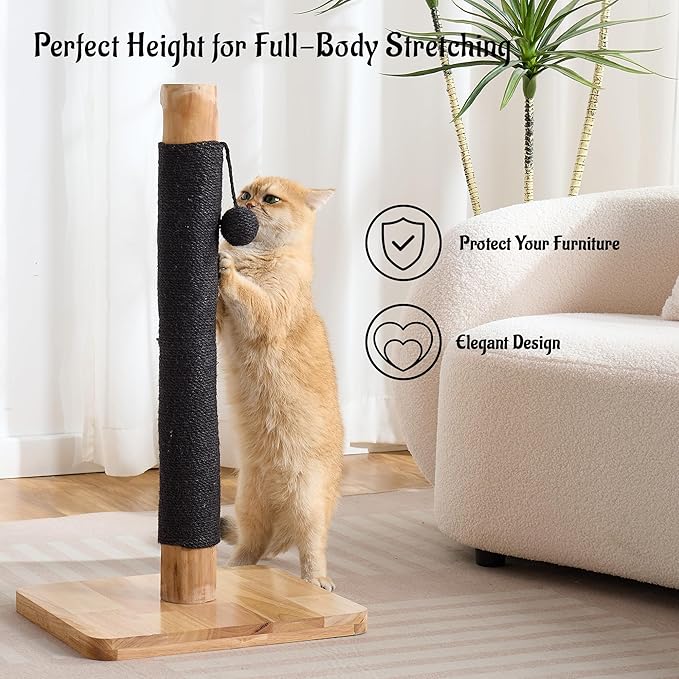 29" Tall Cat Scratching Post for Indoor Cats Adults, Extra-Stable & Natural Solid Wood Scratching Post Sisal Scratcher with Hanging Funny Ball, Black