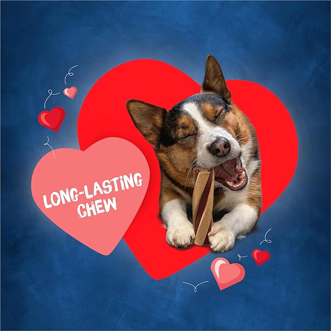 Purina Busy With Beggin' Made in USA Facilities Small/Medium Breed Dog Treats, Twist'd - (2) 6 ct. Pouches