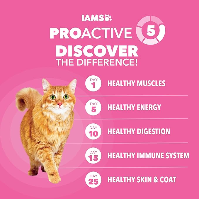 Iams IAMS PROACTIVE HEALTH Adult Sensitive Digestion & Skin Dry Cat Food with Real Turkey Cat Kibble, 3 lb. Bag