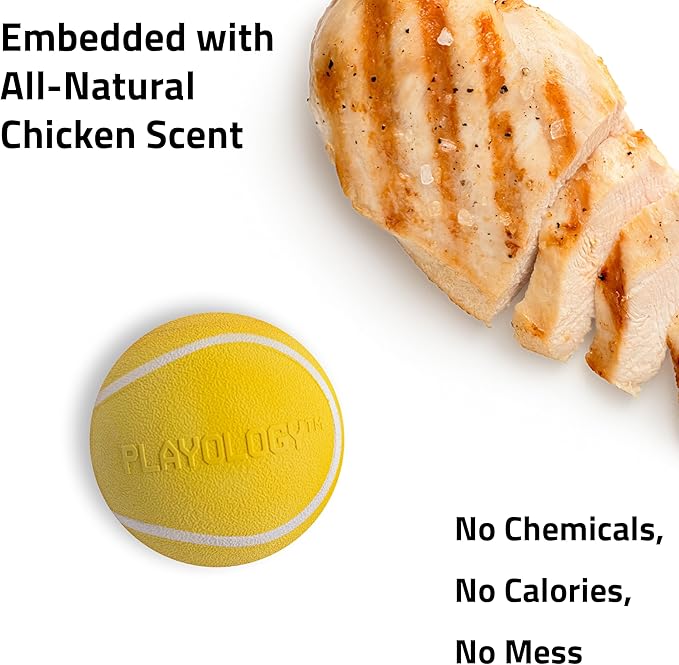 Playology Dog Toys | Squeaky Chew Ball - Bouncy Durable Floating Fetch Ball for Dogs | Jumbo Chicken Scented Toy - Easy to Clean and Made from Non Toxic Materials