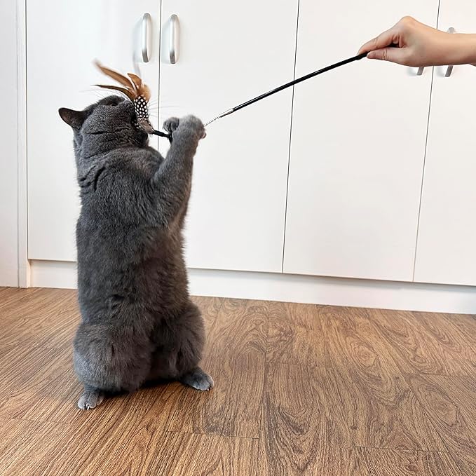 TTcat Cat Wand Toys,Flexible Spring and 4PCS Feather Refills,Feather Teaser Stick Cat Toys for Indoor Cats and Kittens.