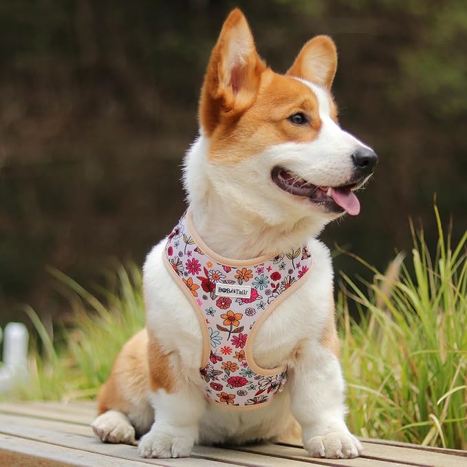 Flower Printed Dog Harness with D-Ring Leash Clip Set,Adjustable Soft Padded and Cotton Fabric Pet Vest for Medium and Small Dogs (Navajo White, Small)