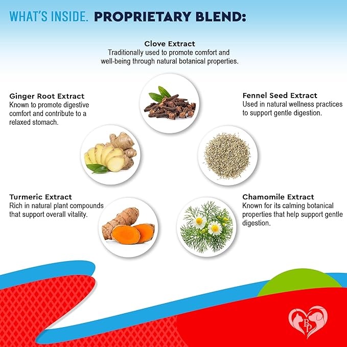 Natural Intestinal Defense for Dogs & Cats – Herbal Cleanse with Wormwood, Black Walnut – Promotes Healthy Gut & Flora Balance – Advanced Broad Spectrum Formula (2 Pack (60 ml + 60ml))