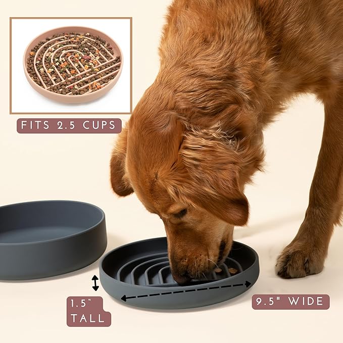 Should We Go? Slow Feeder for Dogs & Puppies, The Slowdown Bowl Silicone Slow Eating, Modern Lick Mat Design, Reduces Gulping, Fits 2.5 Cups 9.5” Across x 1.5” Tall, Mealtime Challenge, Large-Charcoal