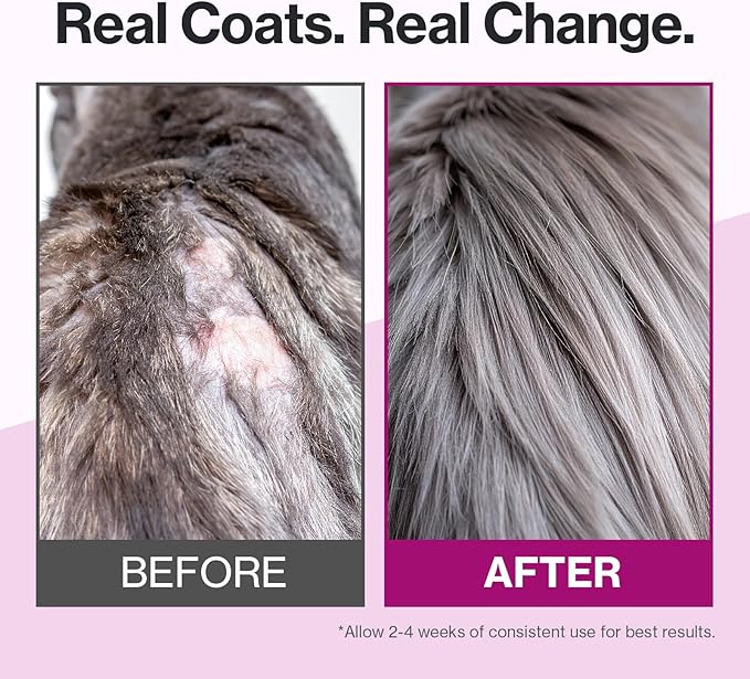 Doctor By Cat Silk Derma Lickable Feline Skin and Coat Supplement - Dandruff Treatment & Itchy Skin Relief Allergy Support for a Glossy Coat Immune Boosting Formula - 30 Individual Treat Tubes