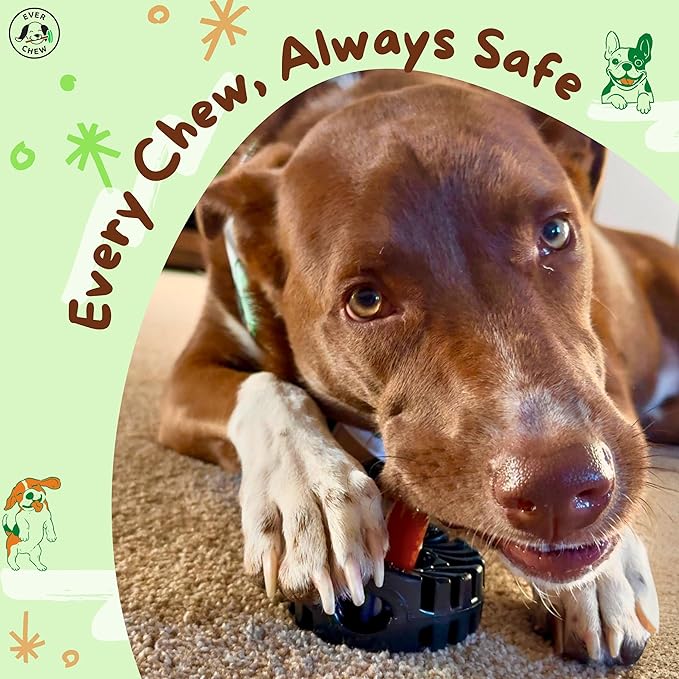 EverChew | Made in USA Bully Stick Holders & Premium All-Natural Bully Stick Starter Packs (SuperChew & 1 Jumbo 6" Stick | 16 to 120+ lbs)