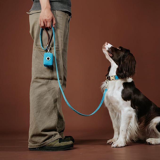 Didog PU Leather Dog Leash for Small Dogs 4.5ft, Soft Padded Handle Faux Leather Dog Leashes for Medium Dogs, Walking and Training Leashes for Large Dogs,Light Blue