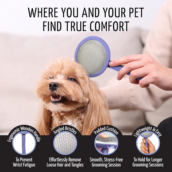Tauro Pro Line Dog Brush for Shedding - Goldendoodle, Labradoodle & Poodle Long or Medium Hair - Slicker Brush for Dogs & Cat Grooming, Round Flexible Cushion & Non-Slip Grip (Size M - Purple)