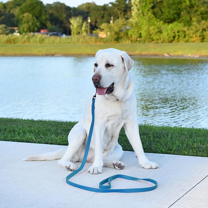 Dogline Biothane Waterproof Dog Leash Strong Coated Nylon Webbing with Black Hardware Odor-Proof Easy to Clean High Performance for Small or Large Dogs Made in USA 2 ft Lead, Cerulean Blue
