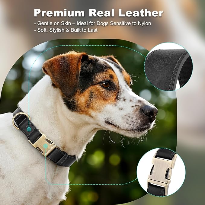 Plutus Pet Genuine Leather Dog Collar – Adjustable Pet Collar with Quick Release Metal Buckle, Soft Real Leather for Small Medium Large Dogs, Heavy Duty & Skin-Friendly (Black, M)