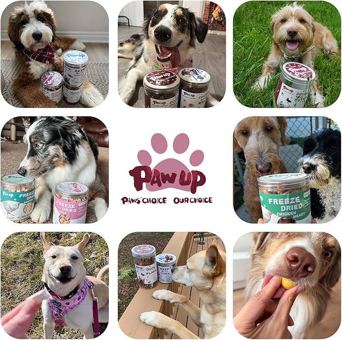 PAWUP Freeze Dried Duck Treats for Dogs, Freeze-Dried Raw Food Topper, High Protein, Gluten&Grain Free, Rawhide Free, 3.8 oz
