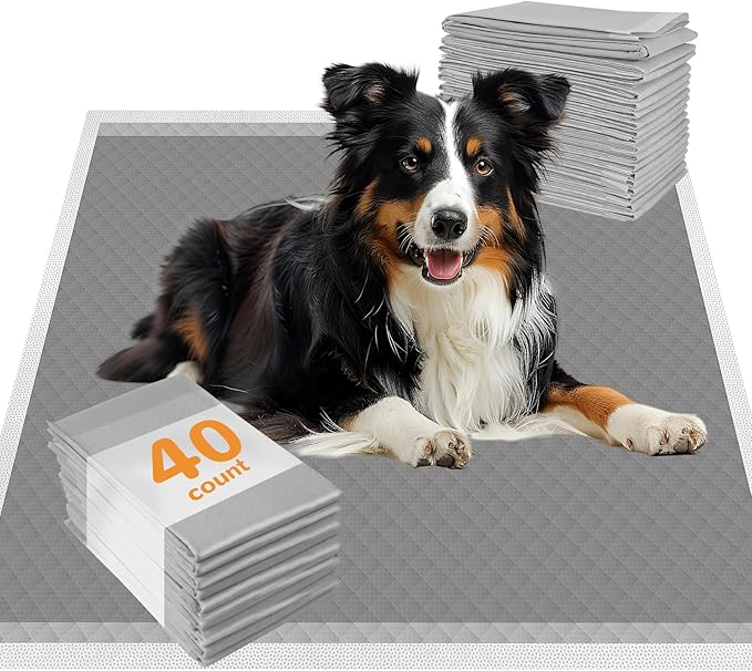 Charcoal Puppy Pads XL 30"x26", 40 Count Disposable Dog Pee Pads Extra Large, Activated Carbon Dog Potty Pads for Training, Pet Urine Bed Pads for Doggies, Piddle Pads for Indoor and Outdoor