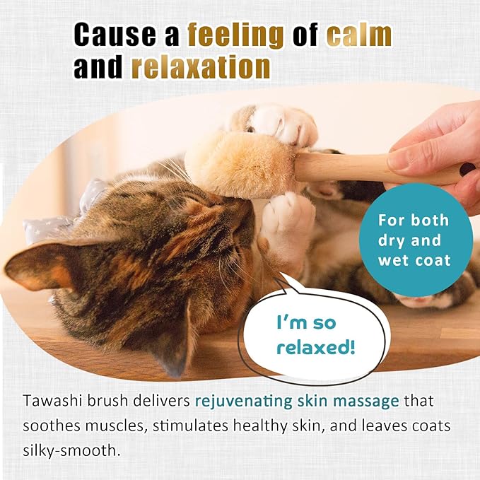 Relaxing Cat Grooming Massage Brush – Gentle Natural Tawashi Brush for Sensitive Cats, Stress‑Free Daily Grooming (Not a Heavy Deshedding Tool) Made in JAPAN (Type-A)