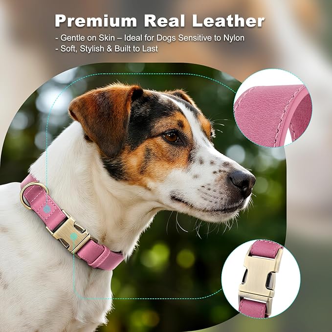 Plutus Pet Genuine Leather Dog Collar – Adjustable Pet Collar with Quick Release Metal Buckle, Soft Real Leather for Small Medium Large Dogs, Heavy Duty & Skin-Friendly (Pink, M)