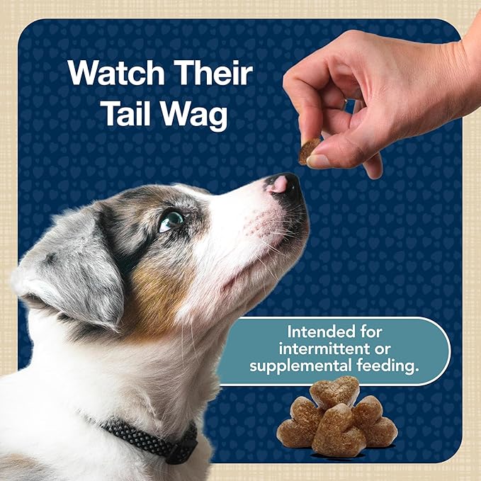 Blue Buffalo Bits Soft Dog Treats for Training, Made with Natural Ingredients & Enhanced with DHA, Turkey Recipe, 4-oz Bag