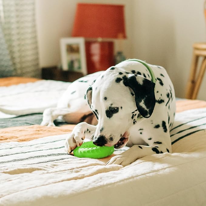 Playology Dog Toys | Dual Layer Ring Durable Chew Toy for Aggressive Chewers | Jumbo Sweet Potato Scented Toy - Easy to Clean and Made from Non Toxic Materials