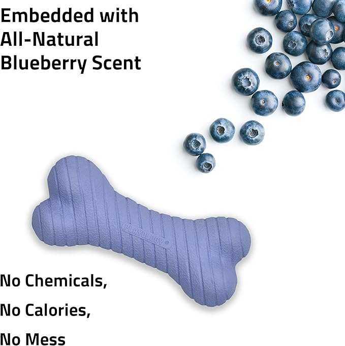 Playology Dog Toys | Dual Layer Bone Durable Chew Toy Bone for Dogs | Jumbo Blueberry Scented Toy - Easy to Clean and Made from Non Toxic Materials