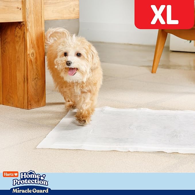 Hartz Home Protection Miracle Guard Dog Pads, XL Size 30 Count, 3X Absorbency & 3X Longer use, Won't Leak and Odor Eliminating