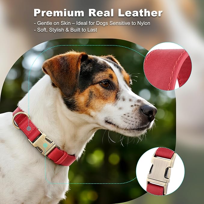 Plutus Pet Genuine Leather Dog Collar – Adjustable Pet Collar with Quick Release Metal Buckle, Soft Real Leather for Small Medium Large Dogs, Heavy Duty & Skin-Friendly (Red, M)
