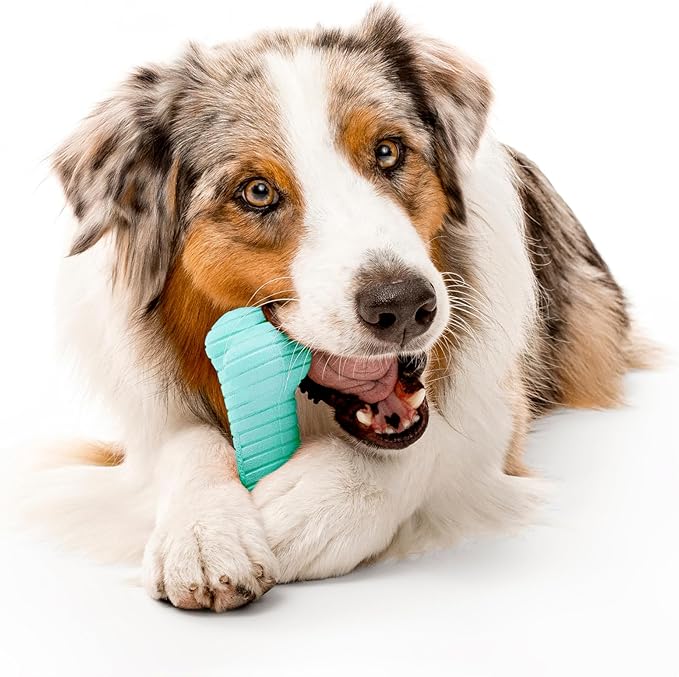 Playology Dog Toys | Variety Gift Box Set of Toys for Large Dogs | Jumbo Peanut Butter Scented Dual Layer Bone, Squeaky Chew Ball, and Chew Stick - Easy to Clean and Made from Non Toxic Material