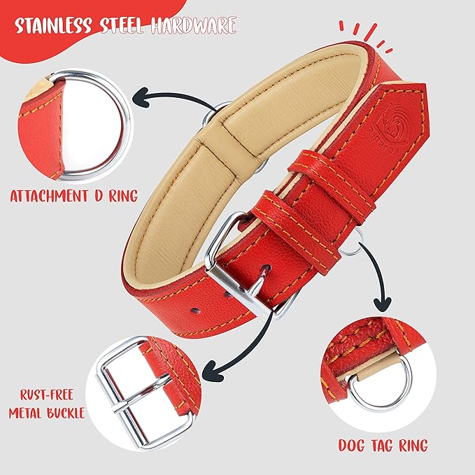 Riparo Red Dog Collar, Dog Collars for Medium Dogs, Leather Dog Collar for Medium Dogs (M: 1" Wide for 13.5”-17.5” Neck, Red)