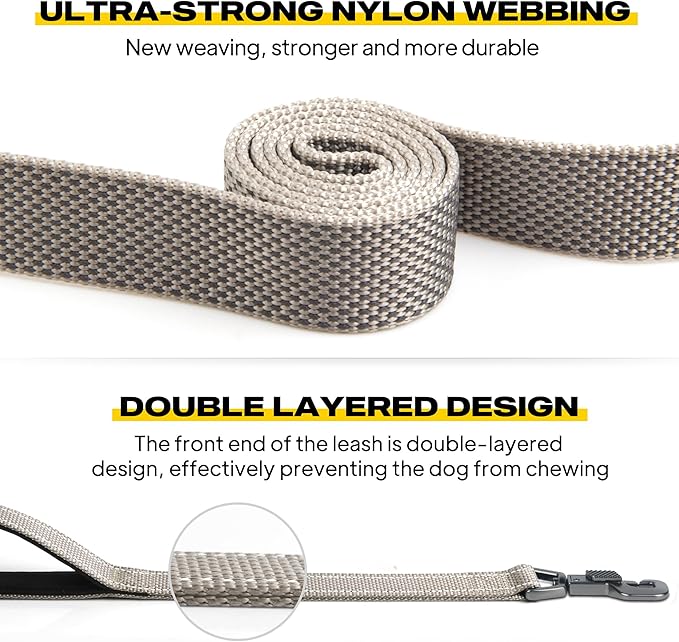 Fida 6 FT Heavy Duty Dog Leash with 2 Comfortable Padded Handles, Traffic Handle & Advanced Easy Snap Hook, Reflective Walking Lead for Large, Medium & Small Breed Dogs, Grey