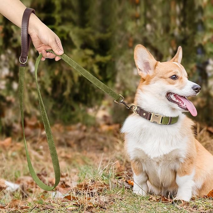 Didog PU Leather Dog Leash for Small Dogs 4.5ft, Soft Padded Handle Faux Leather Dog Leashes for Medium Dogs, Walking and Training Leashes for Large Dogs,Olive Green