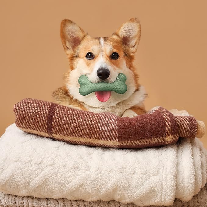 Playology Dog Toys | Dual Layer Bone Durable Chew Toy Bone for Dogs | Medium Butternut Squash & Sage Scented Toy - Limited Edition Fall Scent | Easy to Clean and Made from Non Toxic Materials