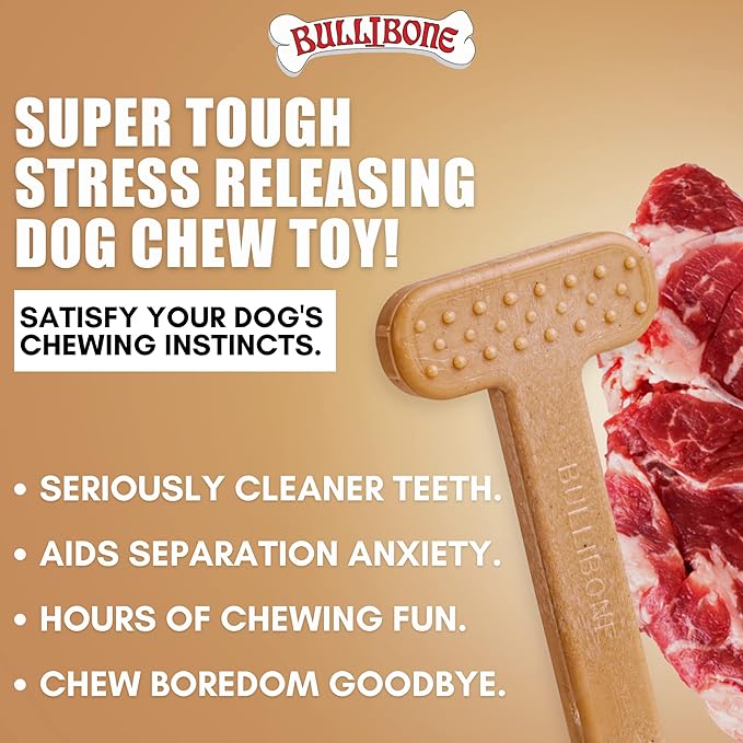 Bullibone Nylon Dog Chew Toy for Aggressive Chewers - Dental Hygiene Bone with Beef Flavor, Durable Tough Chew Toys for Large Dogs, Indestructible Dog Bone - Single