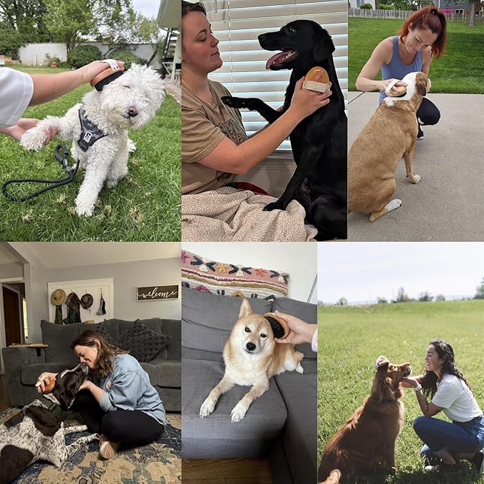 GranNaturals Soft Bristle Dog Brush for Short Haired Dogs & Cats w/Strap - Wooden Handle & Gentle Boar Bristles for Deshedding, Smoothing and Grooming Pet Hair Fur to Give Naturally Shiny Coat